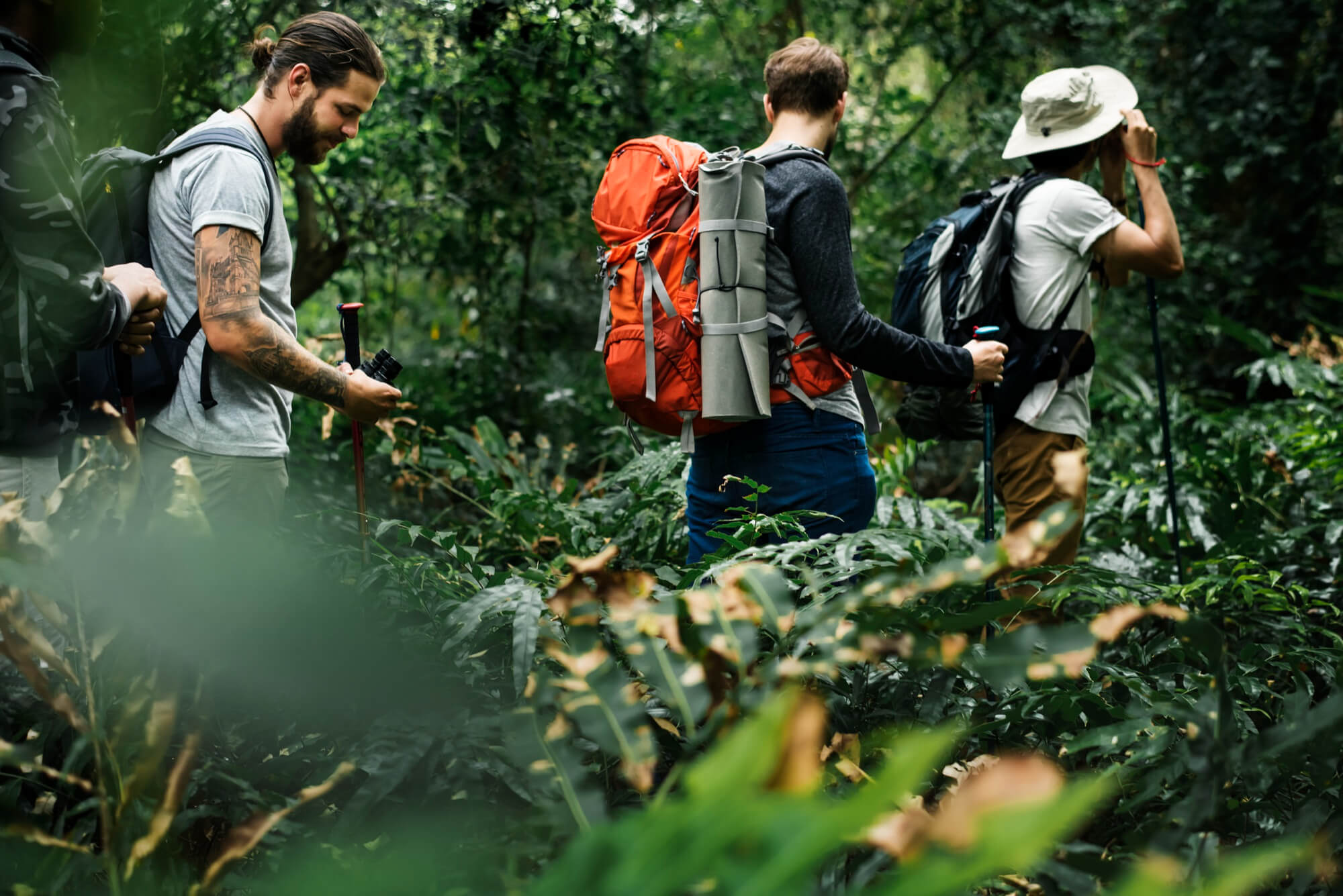Group hiking in forest